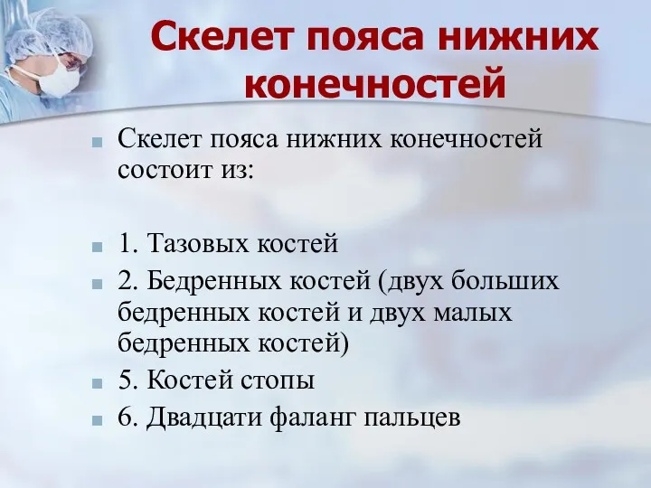 Скелет пояса нижних конечностей состоит из: 1. Тазовых костей 2.