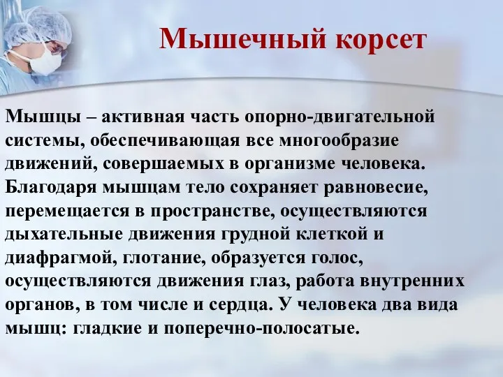 Мышцы – активная часть опорно-двигательной системы, обеспечивающая все многообразие движений,