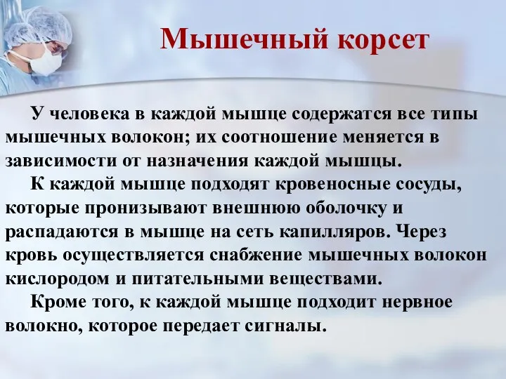 У человека в каждой мышце содержатся все типы мышечных волокон;