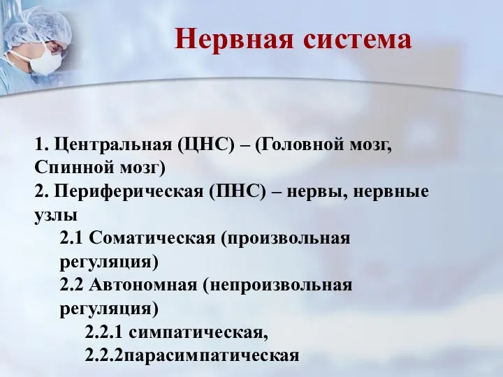 1. Центральная (ЦНС) – (Головной мозг, Спинной мозг) 2. Периферическая