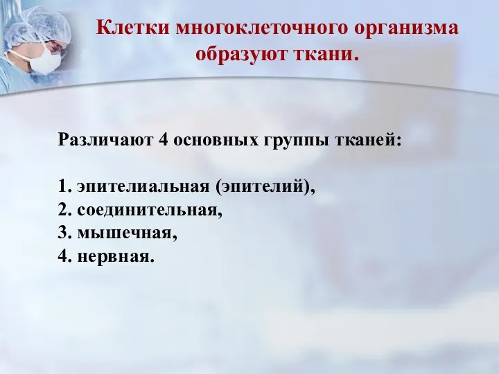 Клетки многоклеточного организма образуют ткани. Различают 4 основных группы тканей: