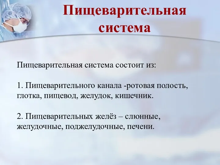 Пищеварительная система состоит из: 1. Пищеварительного канала -ротовая полость, глотка,