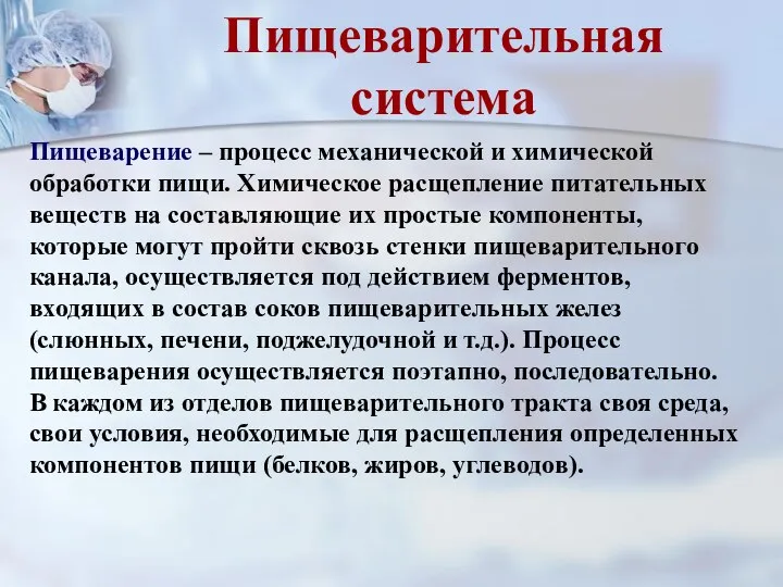 Пищеварение – процесс механической и химической обработки пищи. Химическое расщепление