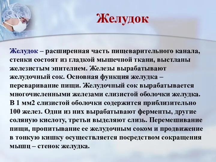 Желудок – расширенная часть пищеварительного канала, стенки состоят из гладкой