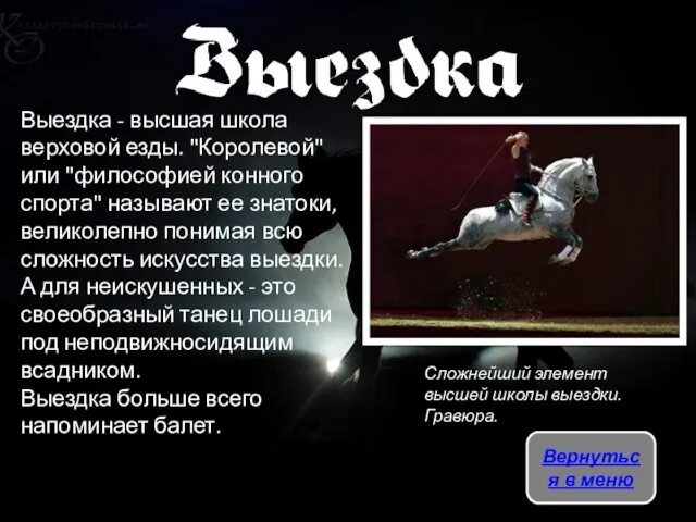 Выездка - высшая школа верховой езды. "Королевой" или "философией конного