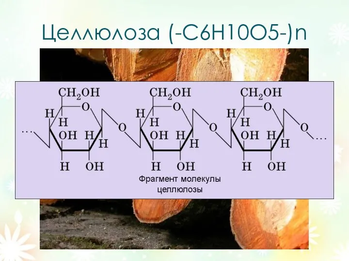 Целлюлоза (-С6Н10О5-)n