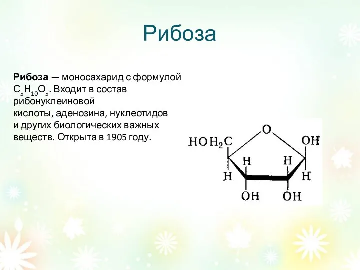 Рибоза Рибоза — моносахарид с формулой С5Н10О5. Входит в состав