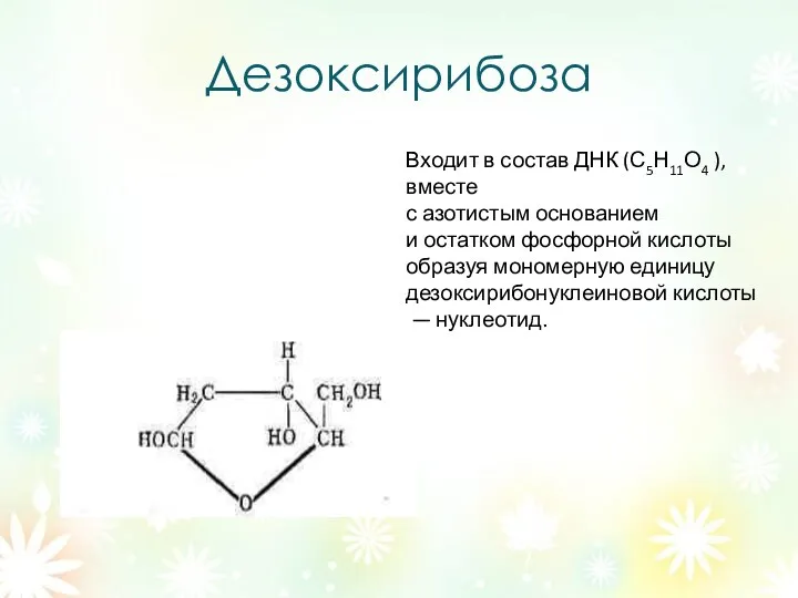 Дезоксирибоза Входит в состав ДНК (С5Н11О4 ), вместе с азотистым