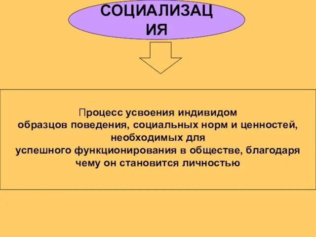 СОЦИАЛИЗАЦИЯ Процесс усвоения индивидом образцов поведения, социальных норм и ценностей,