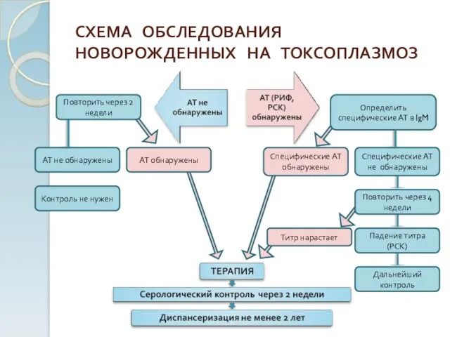 СХЕМА ОБСЛЕДОВАНИЯ НОВОРОЖДЕННЫХ НА ТОКСОПЛАЗМОЗ Специфические АТ не обнаружены Определить