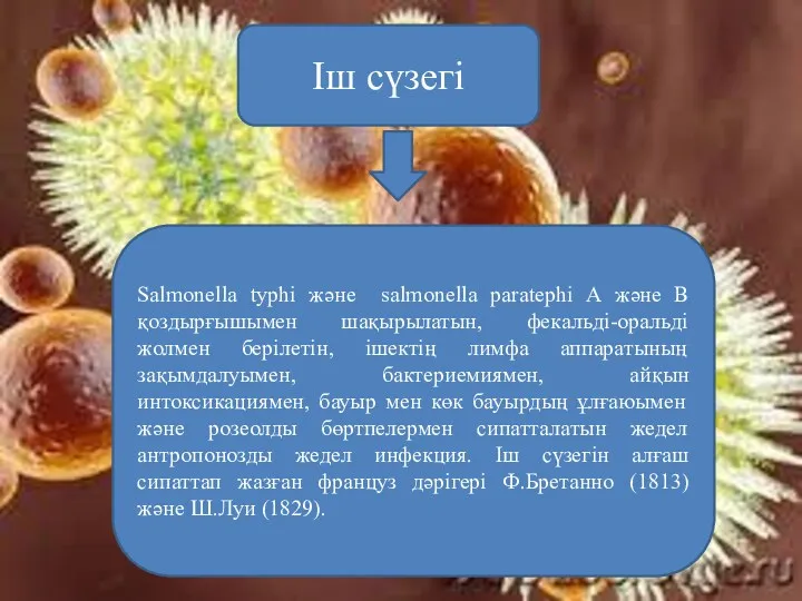 Іш сүзегі Salmonella typhi және salmonella paratephi А және В