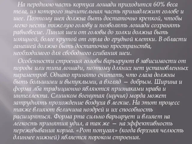 На переднюю часть корпуса лошади приходится 60% веса тела, из