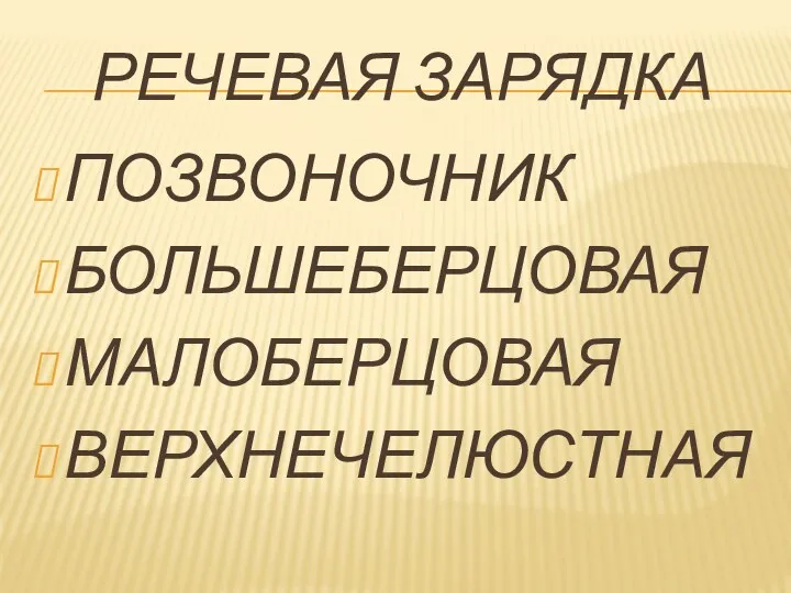 РЕЧЕВАЯ ЗАРЯДКА ПОЗВОНОЧНИК БОЛЬШЕБЕРЦОВАЯ МАЛОБЕРЦОВАЯ ВЕРХНЕЧЕЛЮСТНАЯ