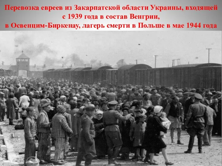 Перевозка евреев из Закарпатской области Украины, входящей с 1939 года