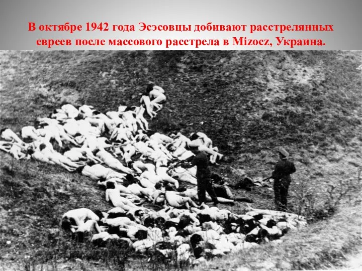 В октябре 1942 года Эсэсовцы добивают расстрелянных евреев после массового расстрела в Mizocz, Украина.