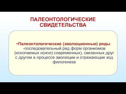 Палеонтологические (эволюционные) ряды -последовательный ряд форм организмов (ископаемых и(или) современных),