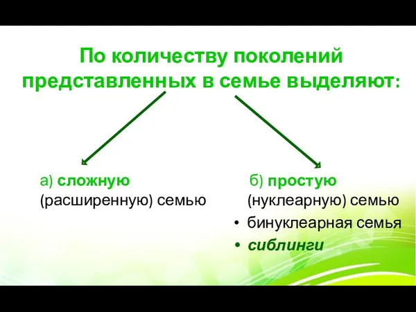 По количеству поколений представленных в семье выделяют: б) простую (нуклеарную)