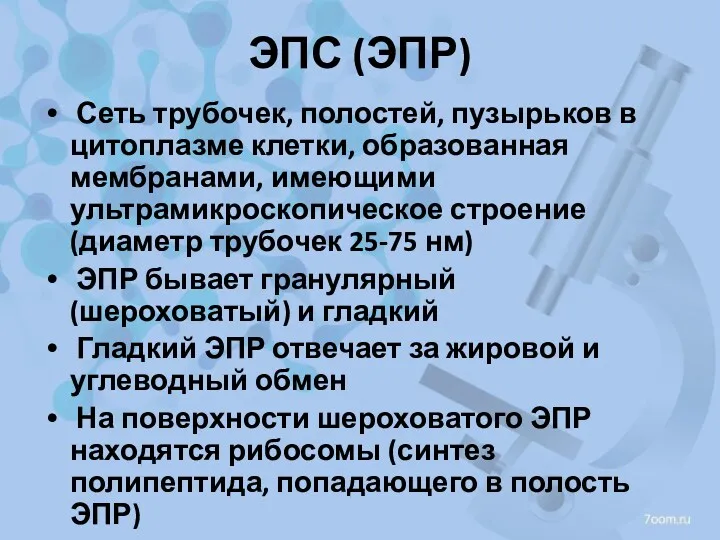 ЭПС (ЭПР) Сеть трубочек, полостей, пузырьков в цитоплазме клетки, образованная