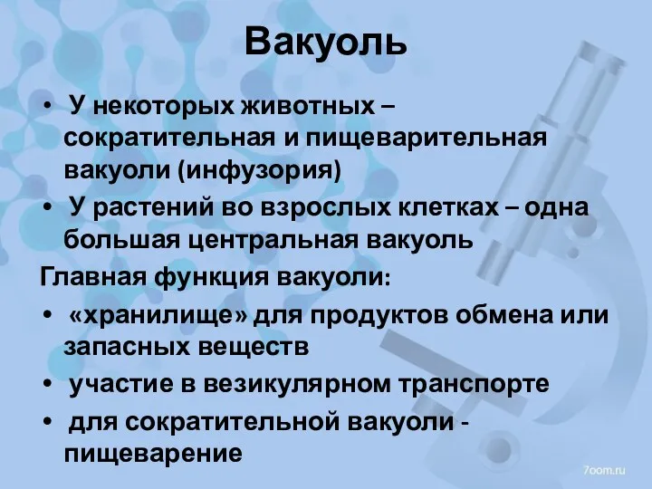 Вакуоль У некоторых животных – сократительная и пищеварительная вакуоли (инфузория)