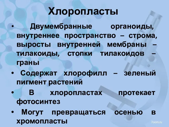 Хлоропласты Двумембранные органоиды, внутреннее пространство – строма, выросты внутренней мембраны