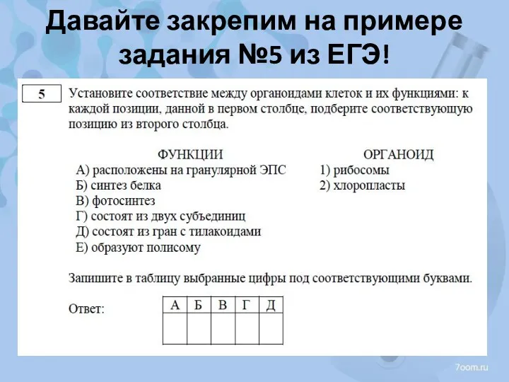 Давайте закрепим на примере задания №5 из ЕГЭ!