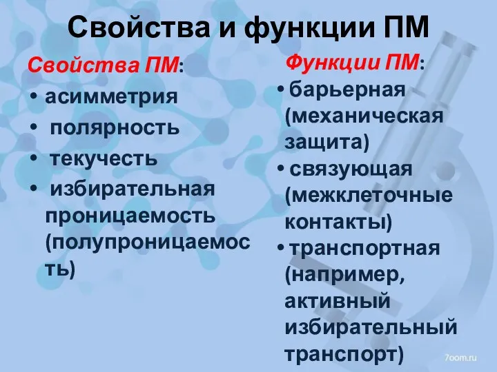 Свойства и функции ПМ Свойства ПМ: асимметрия полярность текучесть избирательная