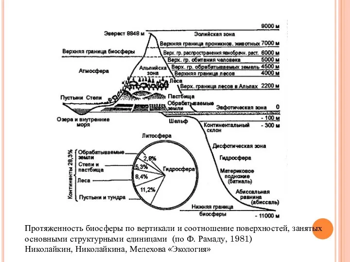 Протяженность биосферы по вертикали и соотношение поверхностей, занятых основными структурными