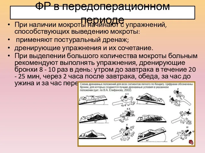 ФР в передоперационном периоде При наличии мокроты начинают с упражнений,