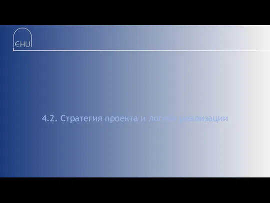 4.2. Стратегия проекта и логика реализации