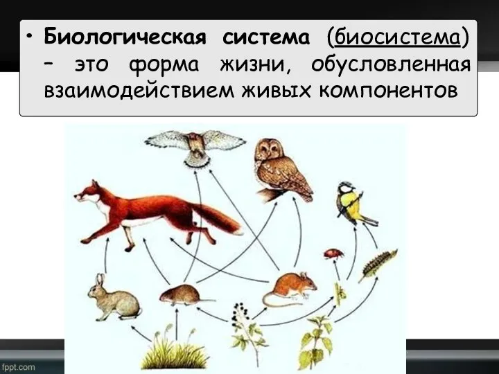 Биологическая система (биосистема) – это форма жизни, обусловленная взаимодействием живых компонентов