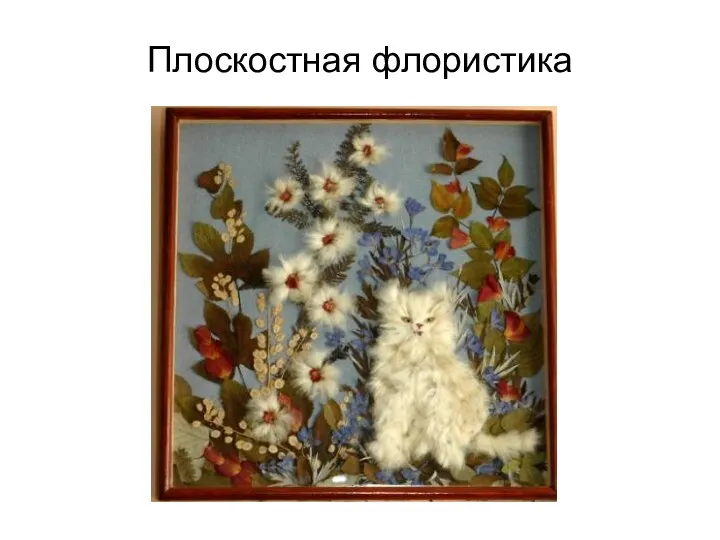 Плоскостная флористика