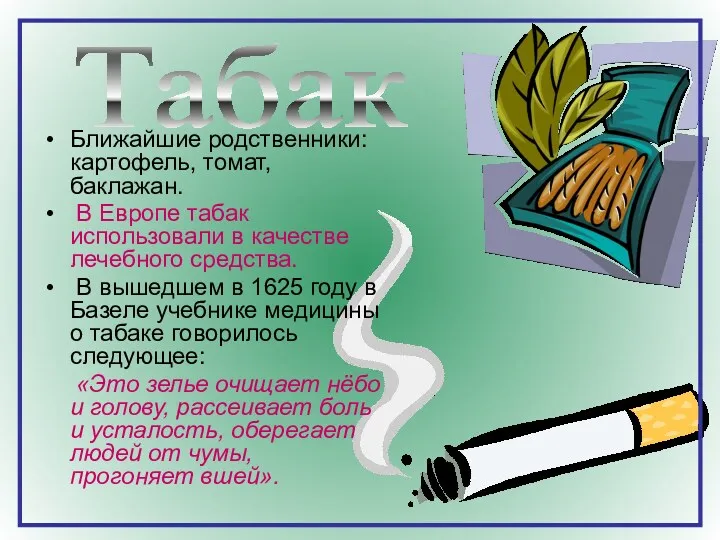 Ближайшие родственники: картофель, томат, баклажан. В Европе табак использовали в качестве лечебного средства.