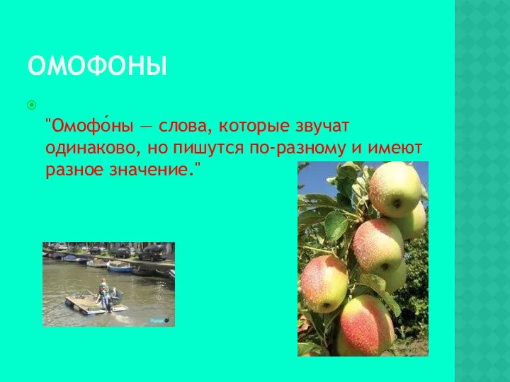 ОМОФОНЫ "Омофо́ны — слова, которые звучат одинаково, но пишутся по-разному и имеют разное значение."