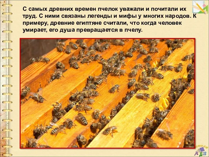 С самых древних времен пчелок уважали и почитали их труд. С ними связаны