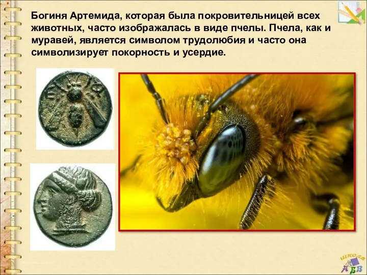 Богиня Артемида, которая была покровительницей всех животных, часто изображалась в виде пчелы. Пчела,