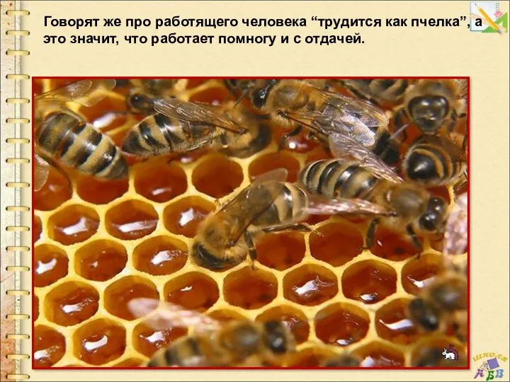 Говорят же про работящего человека “трудится как пчелка”, а это
