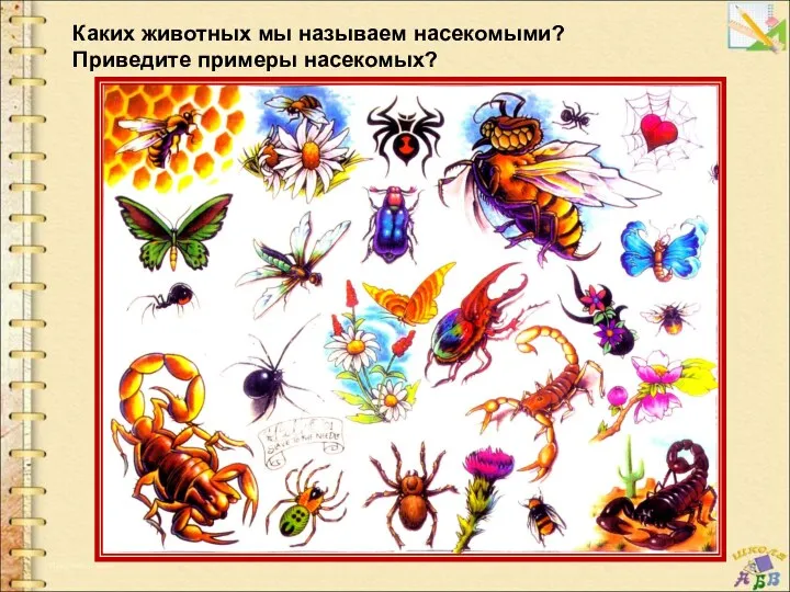 Каких животных мы называем насекомыми? Приведите примеры насекомых?