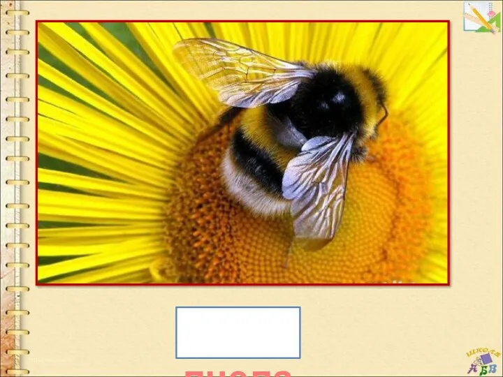пчела Над цветком она жужжит, К улью быстро так летит, Мёд свой в