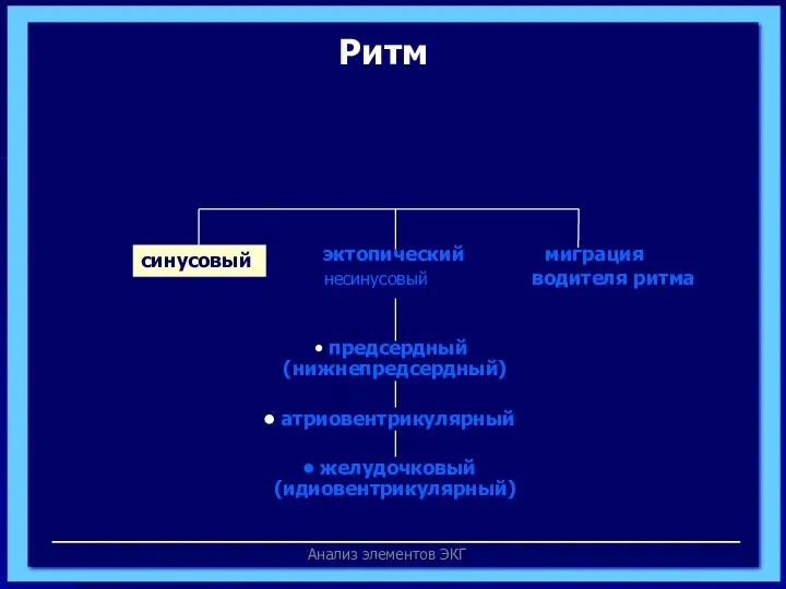 Анализ элементов ЭКГ эктопический миграция несинусовый водителя ритма предсердный (нижнепредсердный) атриовентрикулярный желудочковый (идиовентрикулярный) синусовый Ритм