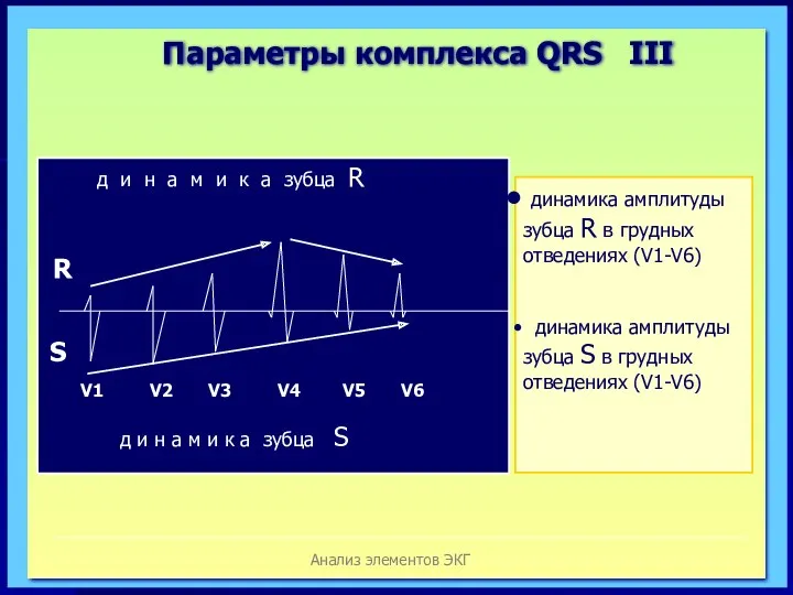 Анализ элементов ЭКГ д и н а м и к а зубца R