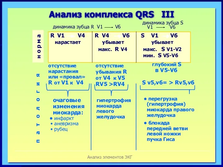 Анализ элементов ЭКГ Анализ комплекса QRS III R V1 V4 R V4 V6