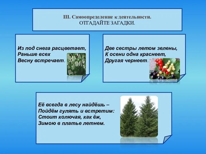 III. Самоопределение к деятельности. ОТГАДАЙТЕ ЗАГАДКИ. Из под снега расцветает,