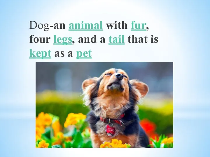 Dog-an animal with fur, four legs, and a tail that is kept as a pet