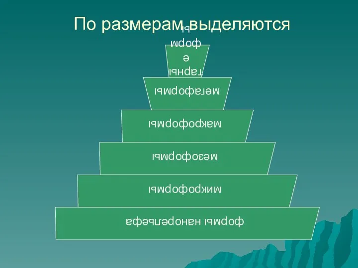 По размерам выделяются