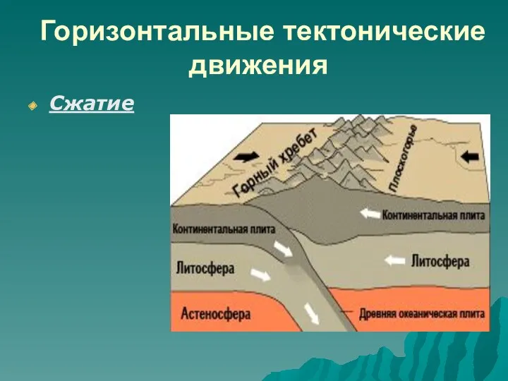 Горизонтальные тектонические движения Сжатие