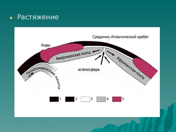 Растяжение