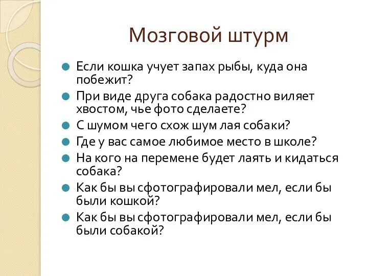 Мозговой штурм Если кошка учует запах рыбы, куда она побежит? При виде друга