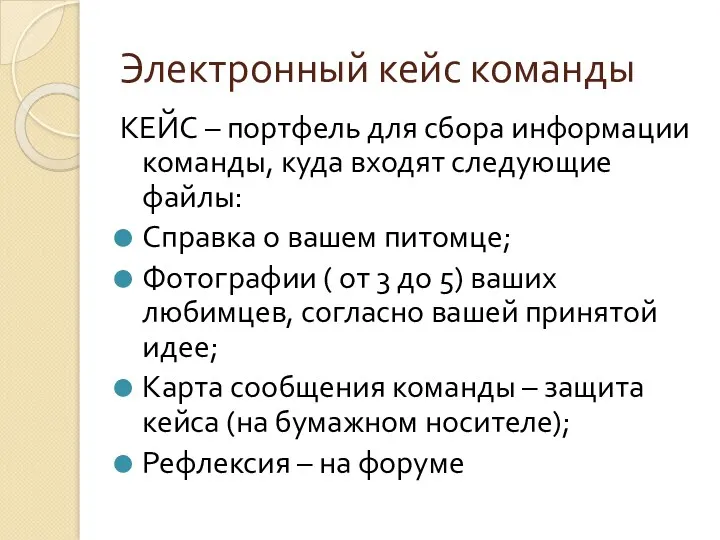 Электронный кейс команды КЕЙС – портфель для сбора информации команды, куда входят следующие