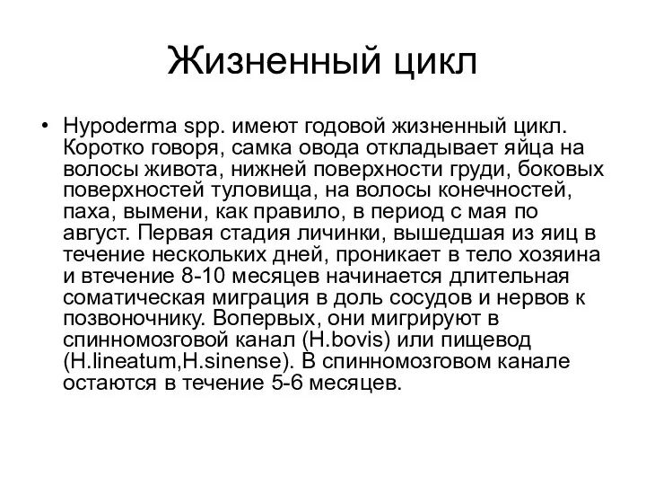 Жизненный цикл Hypoderma spp. имеют годовой жизненный цикл. Коротко говоря, самка овода откладывает