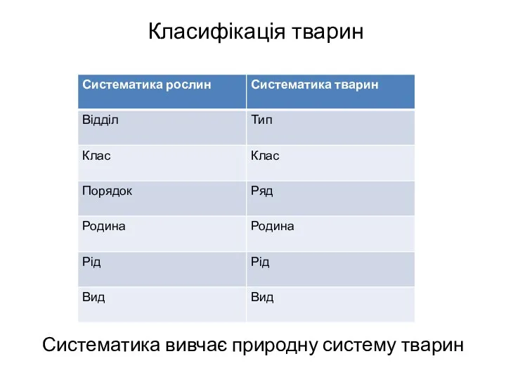 Класифікація тварин Систематика вивчає природну систему тварин